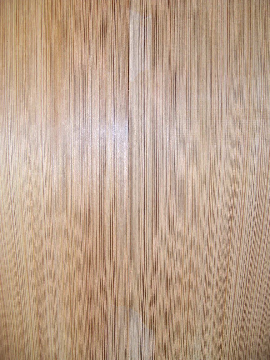 cypress, sinker bald 1 s50 web.jpg